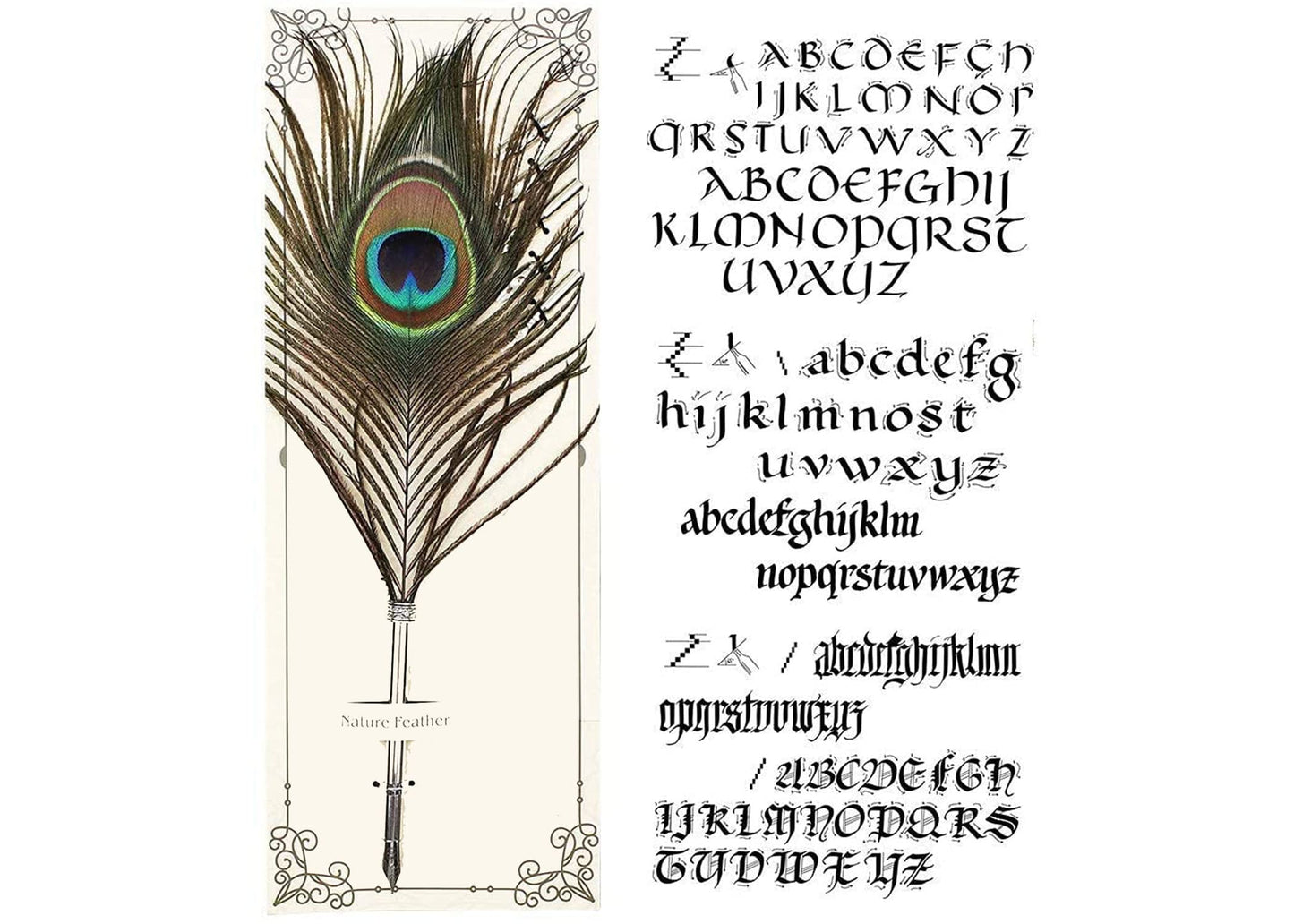 Peacock Feather Pen Set Antique Calligraphy Pen