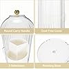 360° Rotating Acrylic Makeup Brush Holder – Dust Proof Cosmetic Organizer | Findsy.pk