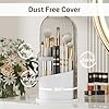 360° Rotating Acrylic Makeup Brush Holder – Dust Proof Cosmetic Organizer | Findsy.pk