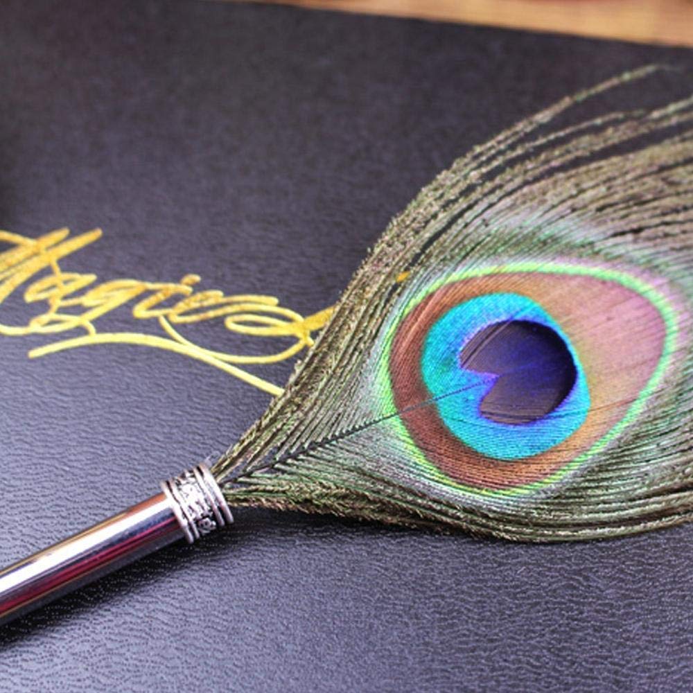 Peacock Feather Pen Set Antique Calligraphy Pen 