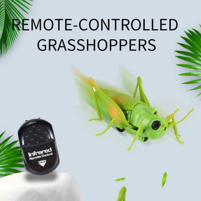 Grasshopper with IR Remote Control Toy