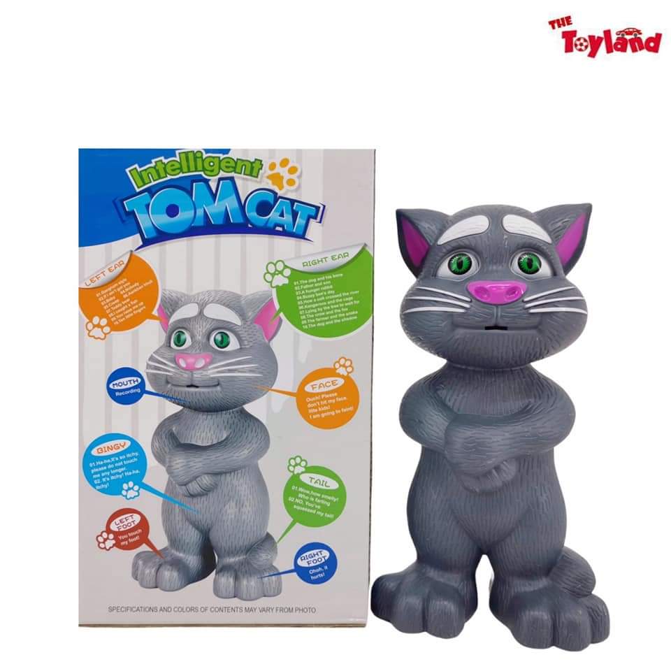 Intelligent Talking Tom Cat